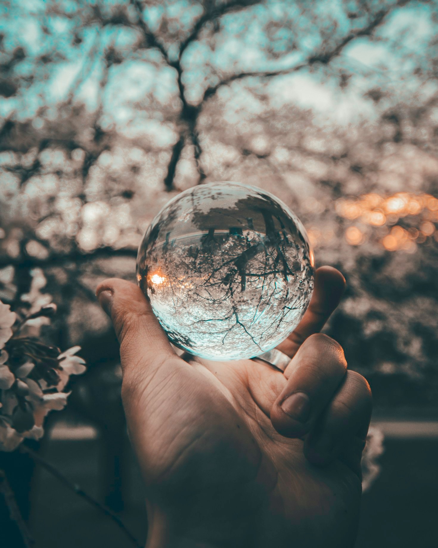 Improving Decision-Making with Psychological Insights